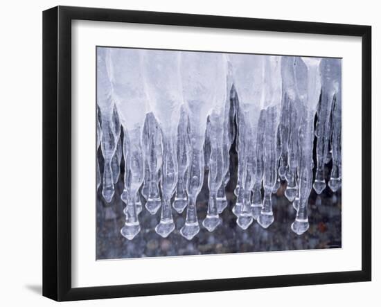 Icicles-null-Framed Photographic Print