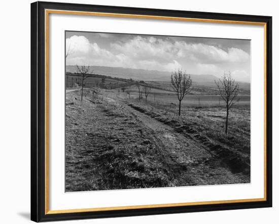Icknield St. Roman Road-null-Framed Photographic Print