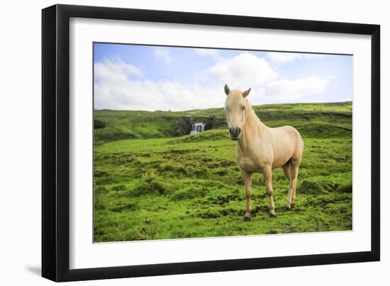 Iclenadic Horse With Green Grass And Waterall In The Background-Erik Kruthoff-Framed Photographic Print
