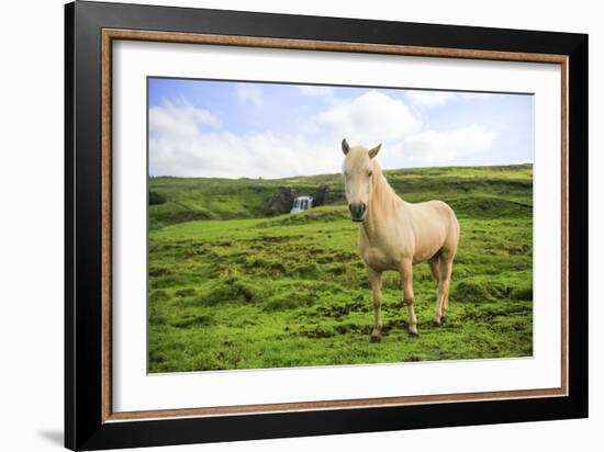 Iclenadic Horse With Green Grass And Waterall In The Background-Erik Kruthoff-Framed Photographic Print