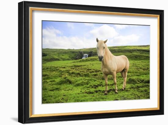 Iclenadic Horse With Green Grass And Waterall In The Background-Erik Kruthoff-Framed Photographic Print