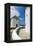 Iconic Windmills, Chora, Mykonos, Greece-David Noyes-Framed Premier Image Canvas