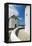 Iconic Windmills, Chora, Mykonos, Greece-David Noyes-Framed Premier Image Canvas