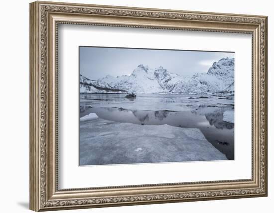 Icy Fjord at the Lofoten in Norway with Reflection and Ice Floes-Niki Haselwanter-Framed Photographic Print