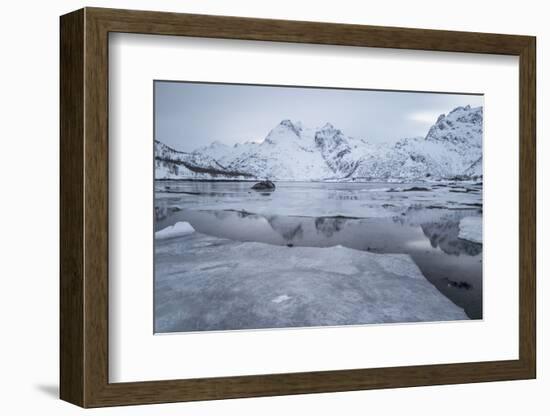 Icy Fjord at the Lofoten in Norway with Reflection and Ice Floes-Niki Haselwanter-Framed Photographic Print