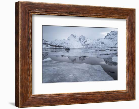 Icy Fjord at the Lofoten in Norway with Reflection and Ice Floes-Niki Haselwanter-Framed Photographic Print