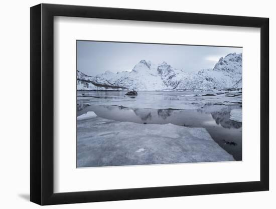Icy Fjord at the Lofoten in Norway with Reflection and Ice Floes-Niki Haselwanter-Framed Photographic Print