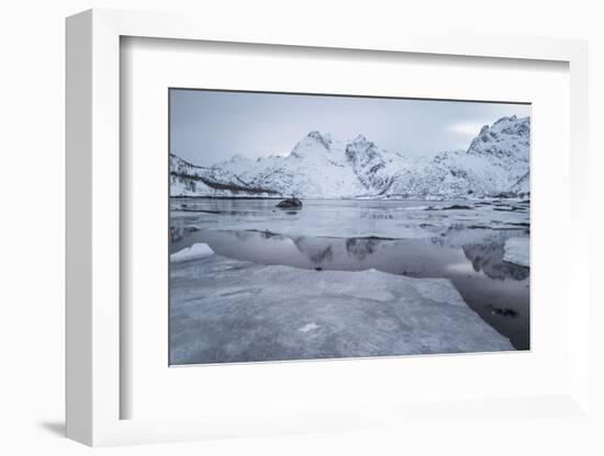 Icy Fjord at the Lofoten in Norway with Reflection and Ice Floes-Niki Haselwanter-Framed Photographic Print