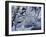 Icy Reflections-Jeff Tift-Framed Giclee Print