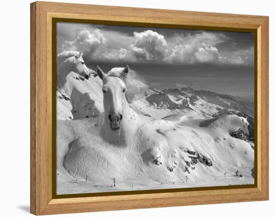 Icy Studs-Thomas Barbey-Framed Premier Image Canvas