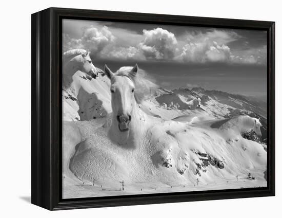 Icy Studs-Thomas Barbey-Framed Premier Image Canvas