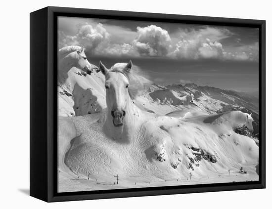 Icy Studs-Thomas Barbey-Framed Premier Image Canvas