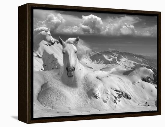 Icy Studs-Thomas Barbey-Framed Premier Image Canvas