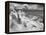 Icy Studs-Thomas Barbey-Framed Premier Image Canvas