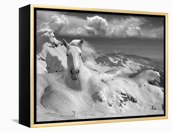 Icy Studs-Thomas Barbey-Framed Premier Image Canvas