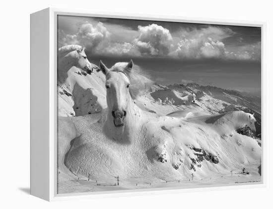 Icy Studs-Thomas Barbey-Framed Premier Image Canvas