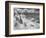 Icy Studs-Thomas Barbey-Framed Premium Giclee Print