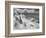 Icy Studs-Thomas Barbey-Framed Giclee Print