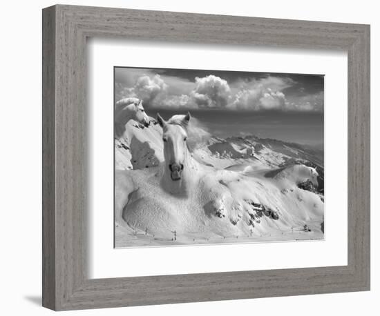 Icy Studs-Thomas Barbey-Framed Giclee Print