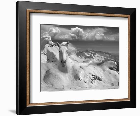 Icy Studs-Thomas Barbey-Framed Giclee Print