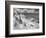 Icy Studs-Thomas Barbey-Framed Giclee Print