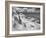 Icy Studs-Thomas Barbey-Framed Giclee Print