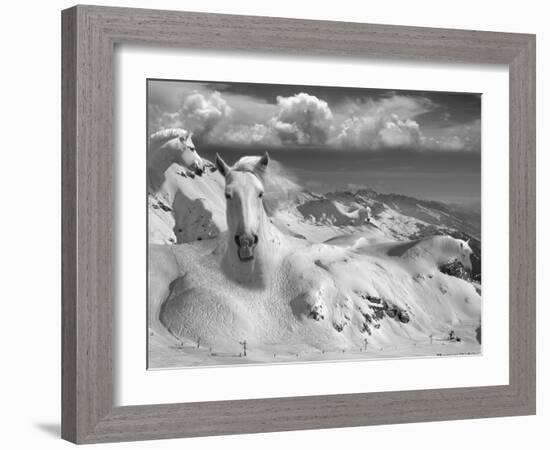 Icy Studs-Thomas Barbey-Framed Giclee Print