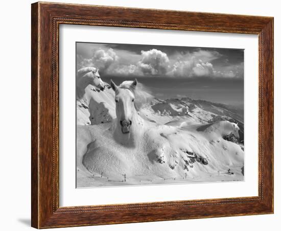 Icy Studs-Thomas Barbey-Framed Giclee Print