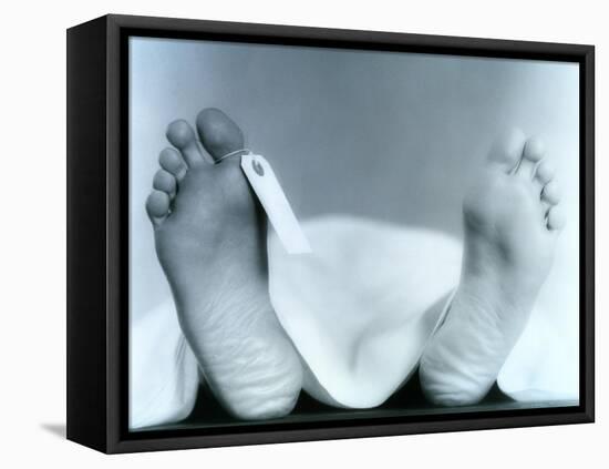 ID Tag on Cadaver-Cristina-Framed Premier Image Canvas