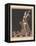 Ida Rubinstein and Vaslav Nijinsky in the Ballet Scheharazade-George Barbier-Framed Premier Image Canvas