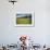 Idaho, Camas Prairie, Field and Barbed Wire Fence-Alison Jones-Framed Photographic Print displayed on a wall