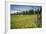 Idaho, Camas Prairie, Field and Barbed Wire Fence-Alison Jones-Framed Photographic Print