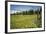 Idaho, Camas Prairie, Field and Barbed Wire Fence-Alison Jones-Framed Photographic Print