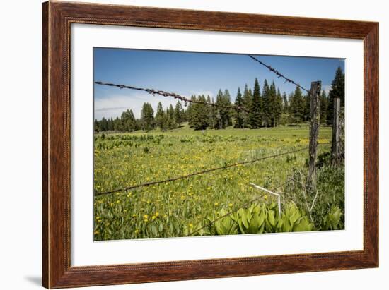Idaho, Camas Prairie, Field and Barbed Wire Fence-Alison Jones-Framed Photographic Print