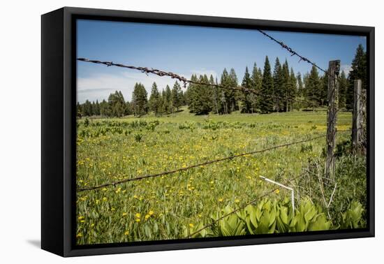 Idaho, Camas Prairie, Field and Barbed Wire Fence-Alison Jones-Framed Premier Image Canvas