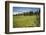 Idaho, Camas Prairie, Field and Barbed Wire Fence-Alison Jones-Framed Photographic Print