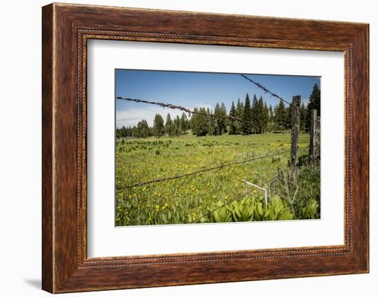 Idaho, Camas Prairie, Field and Barbed Wire Fence-Alison Jones-Framed Photographic Print