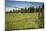 Idaho, Camas Prairie, Field and Barbed Wire Fence-Alison Jones-Mounted Photographic Print