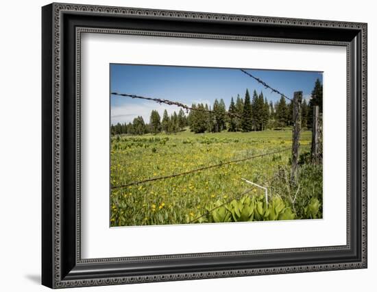 Idaho, Camas Prairie, Field and Barbed Wire Fence-Alison Jones-Framed Photographic Print