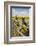 Idaho, Camas Prairie, Wooden Fence at Tolo Lake Access Area-Alison Jones-Framed Photographic Print