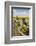 Idaho, Camas Prairie, Wooden Fence at Tolo Lake Access Area-Alison Jones-Framed Photographic Print