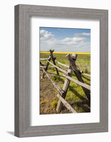 Idaho, Camas Prairie, Wooden Fence at Tolo Lake Access Area-Alison Jones-Framed Photographic Print