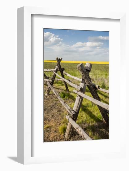 Idaho, Camas Prairie, Wooden Fence at Tolo Lake Access Area-Alison Jones-Framed Photographic Print