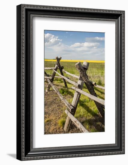 Idaho, Camas Prairie, Wooden Fence at Tolo Lake Access Area-Alison Jones-Framed Photographic Print