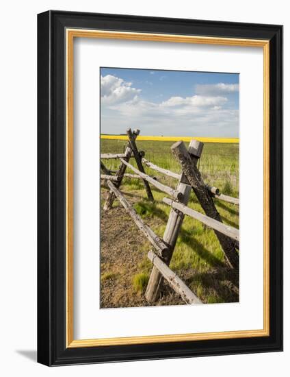 Idaho, Camas Prairie, Wooden Fence at Tolo Lake Access Area-Alison Jones-Framed Photographic Print