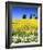 Idaho Church-Ike Leahy-Framed Photo