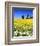 Idaho Church-Ike Leahy-Framed Photo