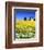 Idaho Church-Ike Leahy-Framed Photo