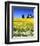 Idaho Church-Ike Leahy-Framed Photo