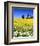 Idaho Church-Ike Leahy-Framed Photo